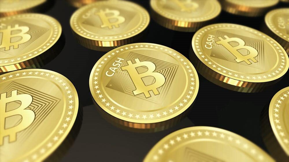 Bitcoin Cash koinleri