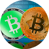 Bitcoin Cash ve Bitcoin