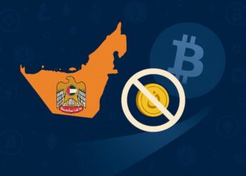 BAE’nin Yeni Kripto Yasası Endişe Yarattı